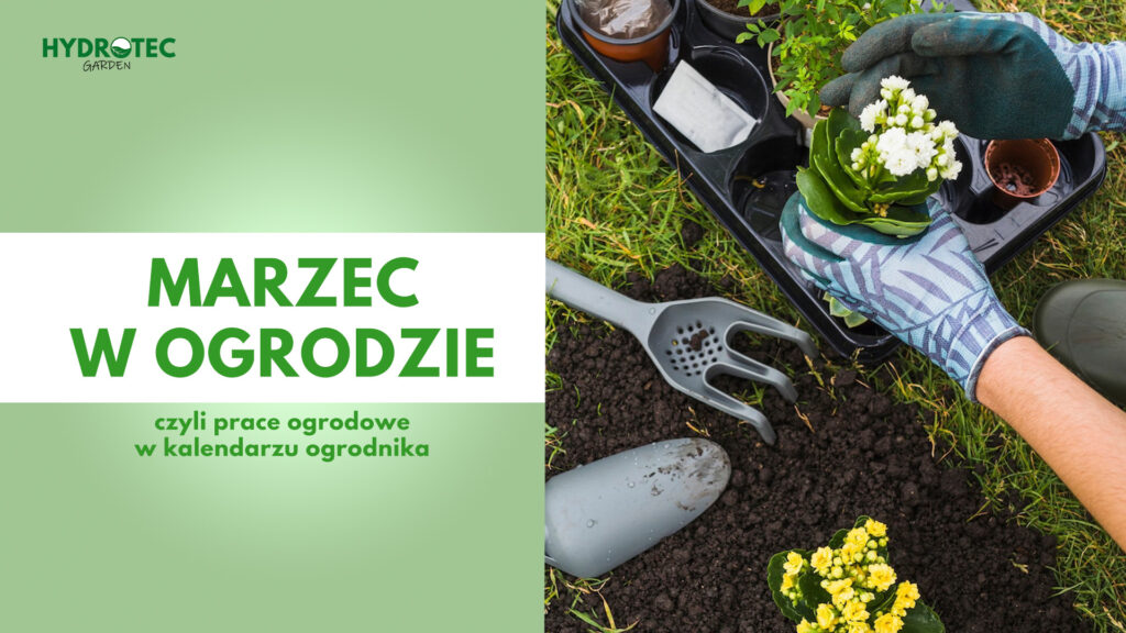 Marzec w ogrodzie - czyli prace ogrodowe w kalendarzu ogrodnika