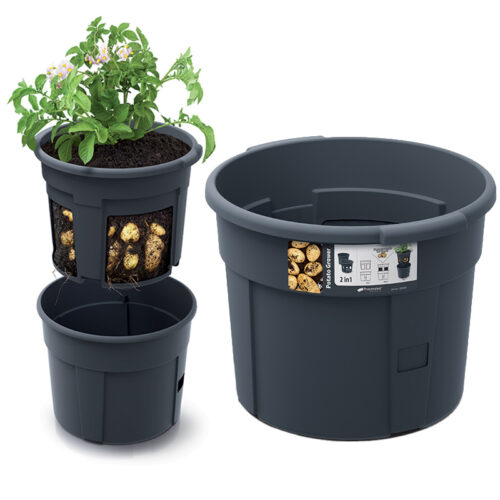 Doniczka do ziemniaków sposób na sadzenie ziemniaków w domu