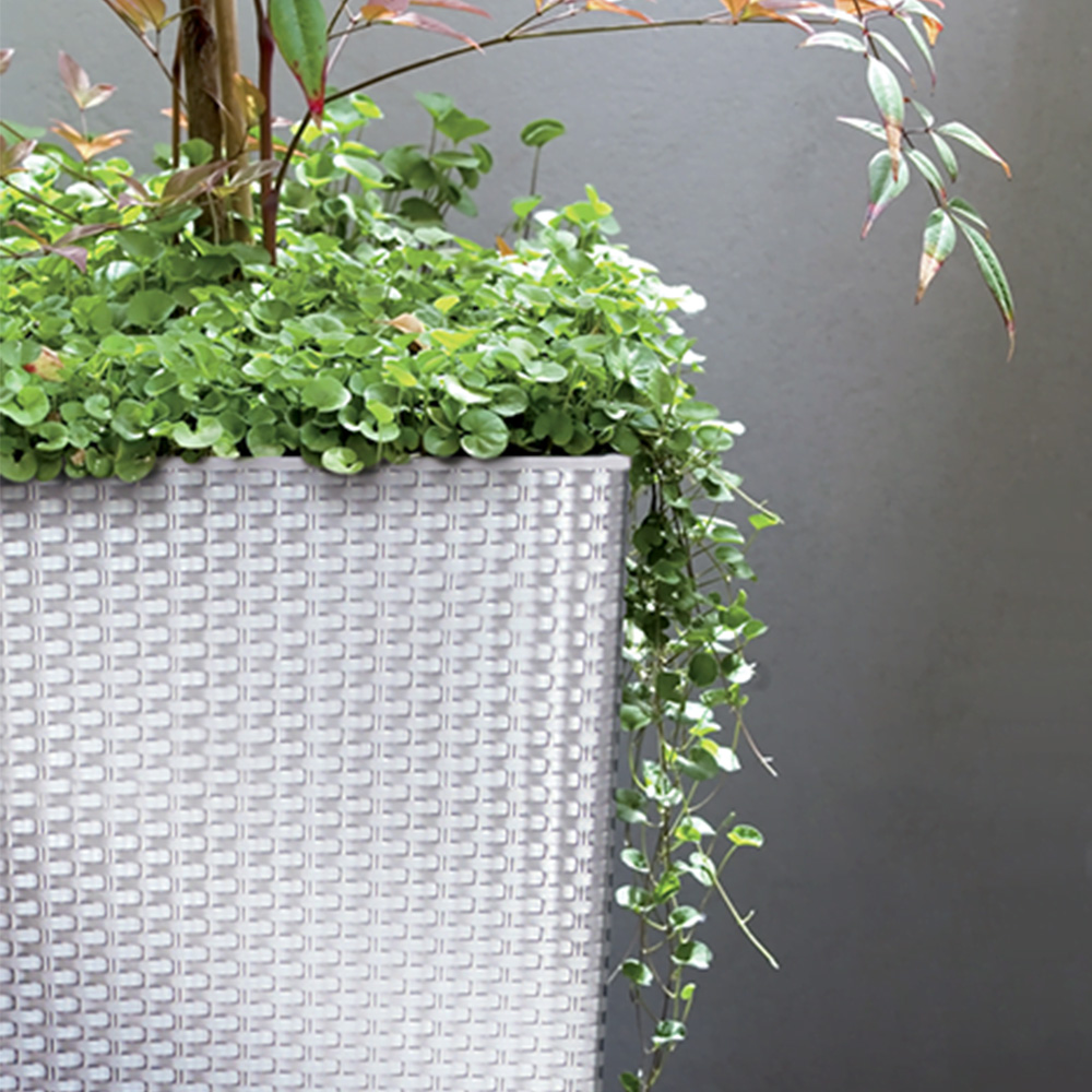 Doniczka Rato Square, doniczka do ogrodu doniczka do roślin