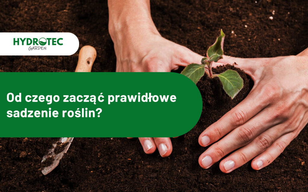 Od czego zacząć prawidłowe sadzenie roślin ogrodowych?