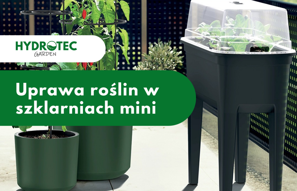 mini szklarnie